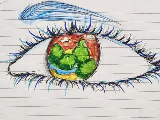 ECOLOGIA DELLO SGUARDO