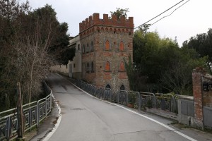 Cicogna