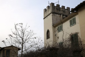 Cicogna