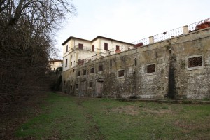 Cicogna