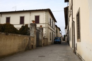 Cicogna
