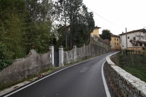 Piantravigne