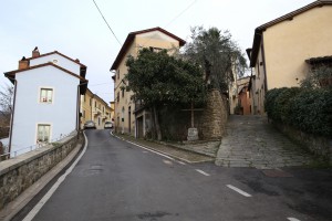 Piantravigne