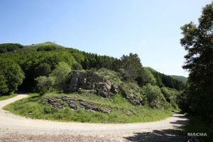 IMG 9814 web