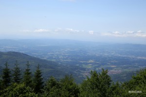 IMG 9816 web