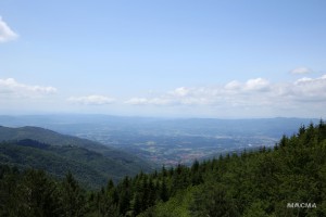 IMG 9827 web
