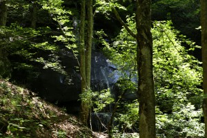 IMG 9831 web