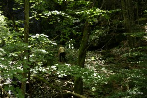 IMG 9832 web