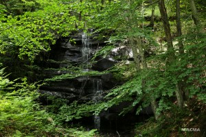 IMG 9836 web