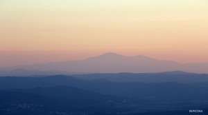 Schermata-2018-06-05-alle-12.20.50 light copia